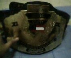 wcw united states championship belt
