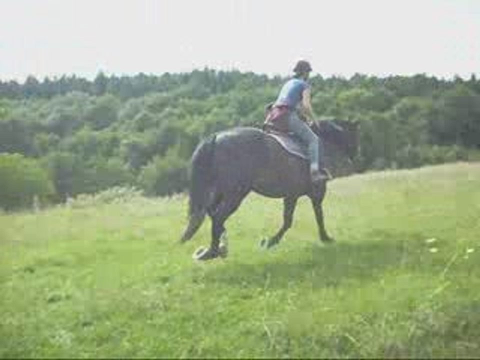 César au saut