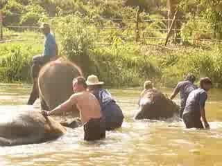 Rinçage dans la riviere
