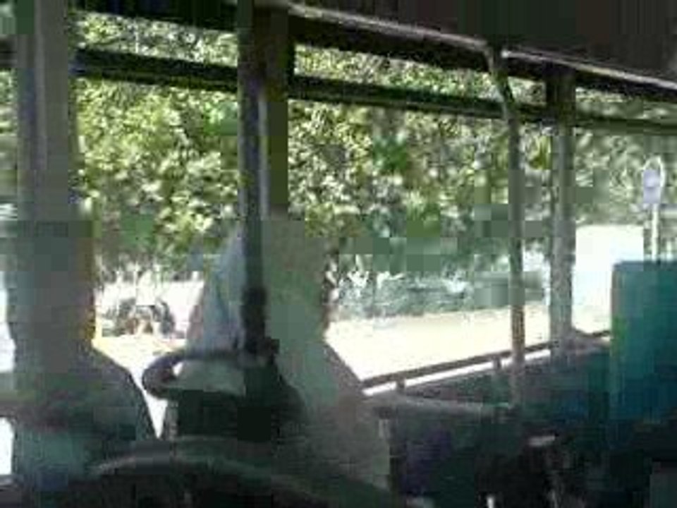 Dans lbus !