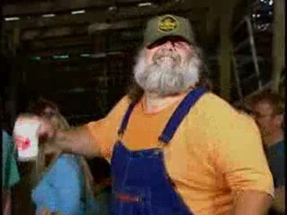 Hayseed Dixie - Roses