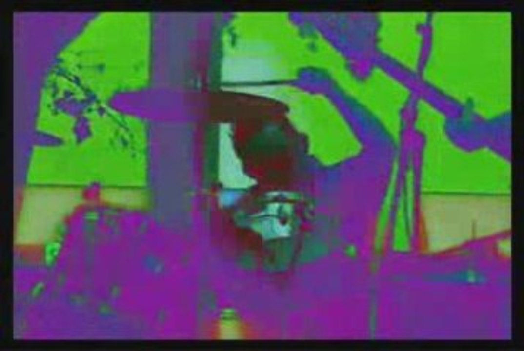 The Mermen - With No Definite Future