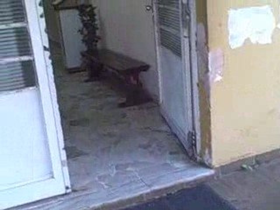 World Endeavors: Brazil Volunteers 6: Daycare Center