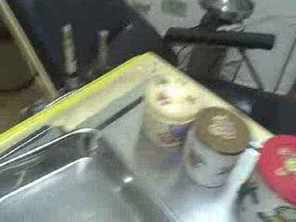 World Endeavors: Brazil Volunteers 8: Daycare Center Dentis