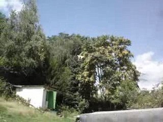 kuscuevren  2009 boz yavru teke deneme ucusu