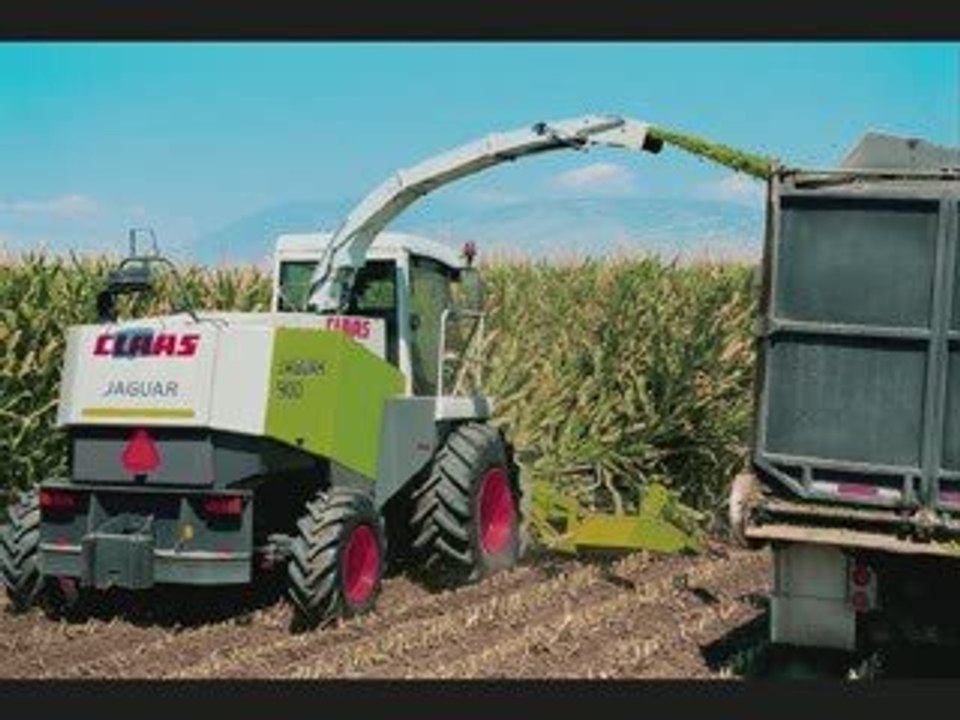 diorama agricole