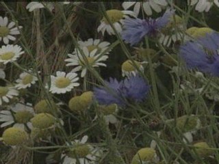 Farmers urged to help boost wildlife