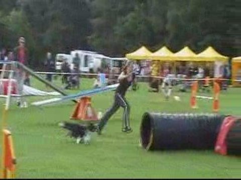 EO 2009 BOOTSIE AGILITY INDIV