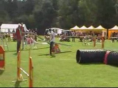 EO 2009 CURLY AGILITY INDIV