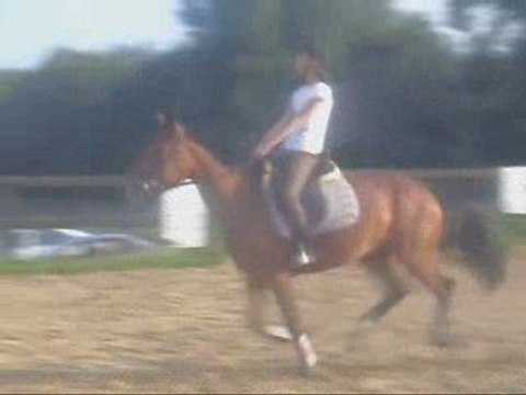 Moi et Fiesta du Fays en cours de saut