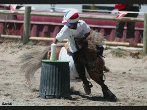 Championnats d'europe 2009pony games championnats d'europe