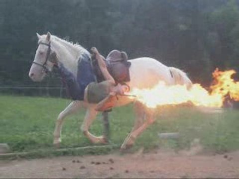 Okame ...Poste hongroise et voltige feu