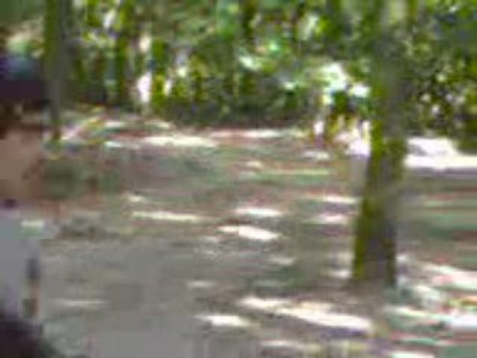 airsoft dans les bois de nozay ATTENTION GRENADE