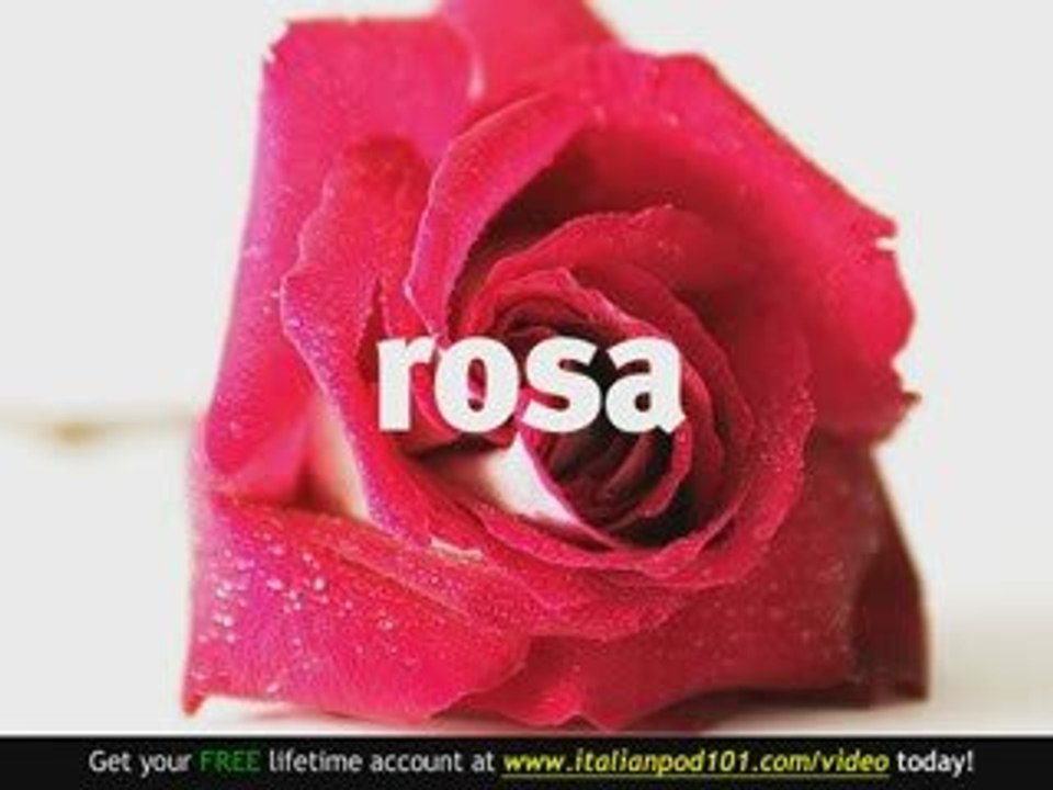 Learn Italian - Italian Plants Vocabulary