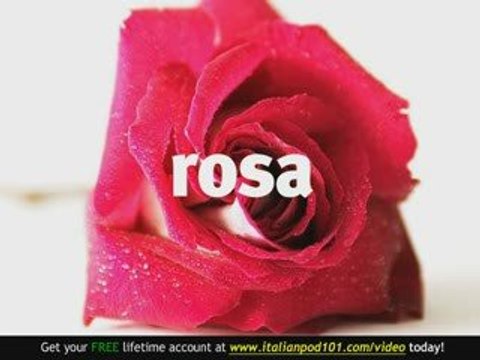 Learn Italian - Italian Plants Vocabulary