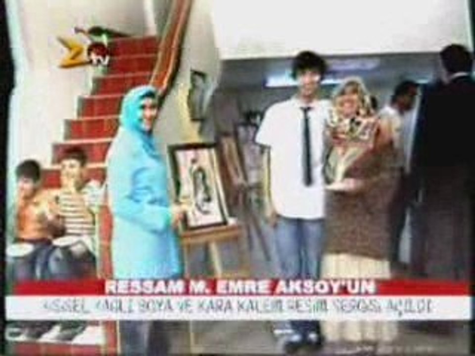 ressam emre aksoyun sergisi