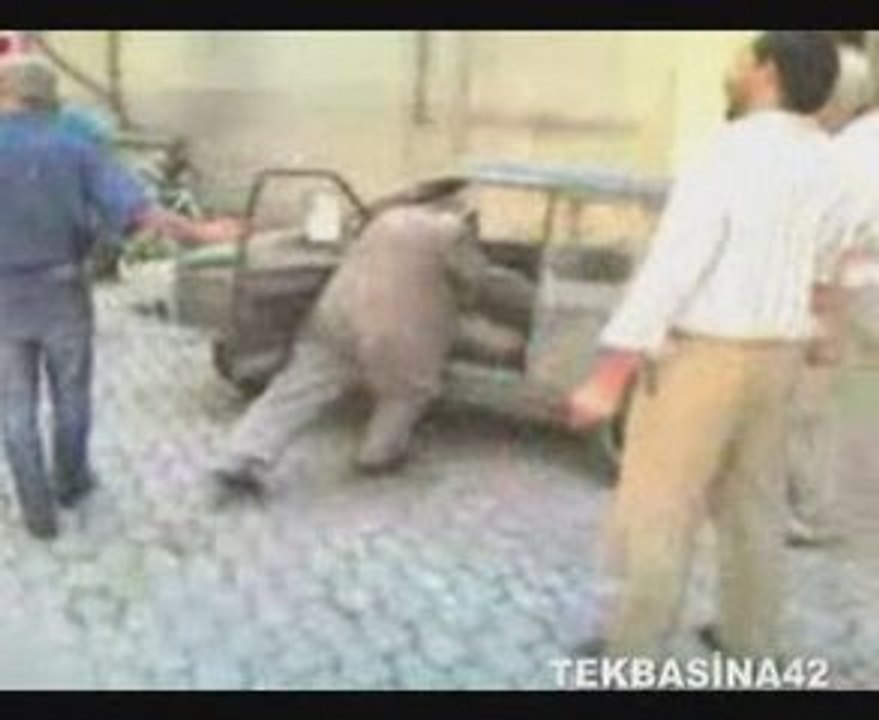 araba oto icat teknoloji komedi komik yarış