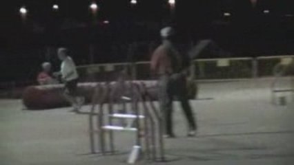 Almusaffes summer 2009 costa blanca agility