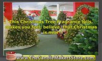 Candle Scents: Christmas Tree Fragrance
