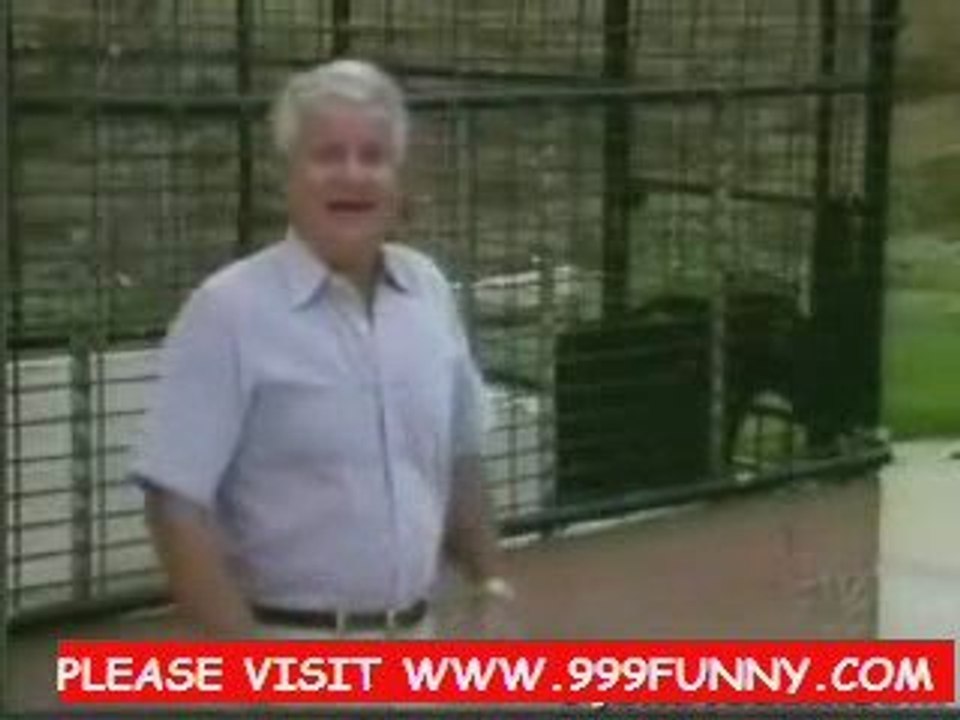 Funny monkey show