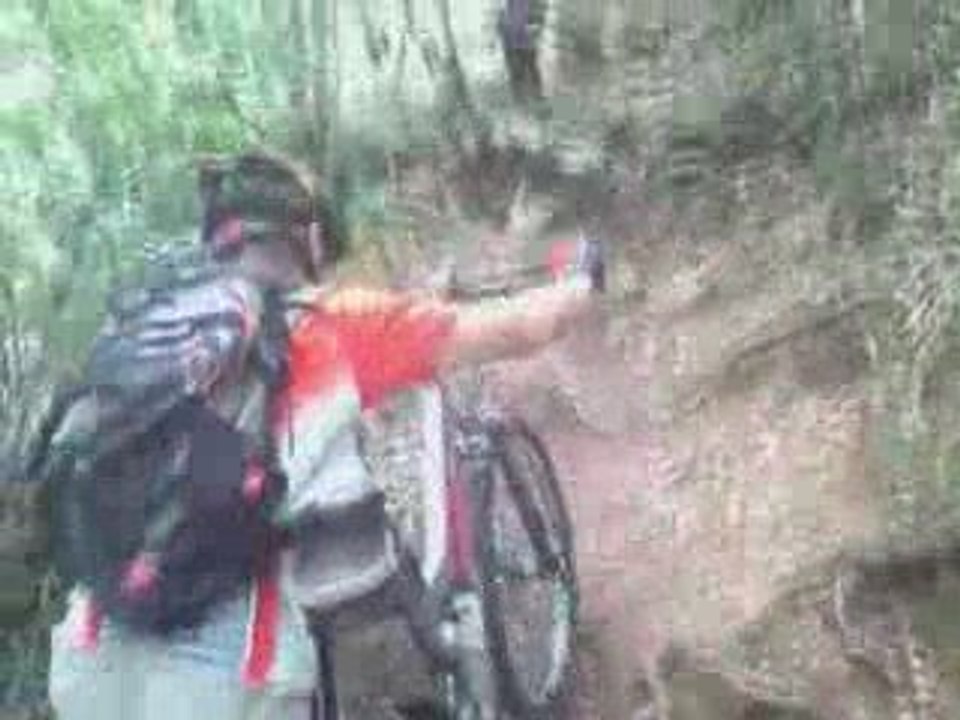 Sortie VTT en Forêt de Mervent le 25 Juillet 2009