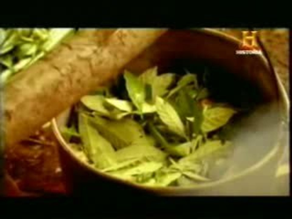 Schultes y la ayahuasca