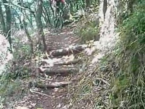 Sortie VTT en Forêt de Mervent le 25 Juillet 2009