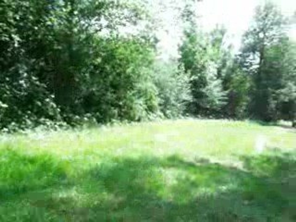 dirt nature