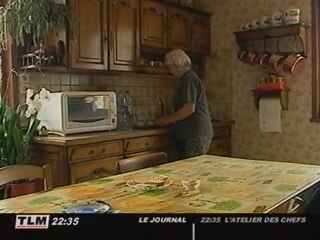 Une éolienne de 12 mètres chez les Goubier (Lyon)