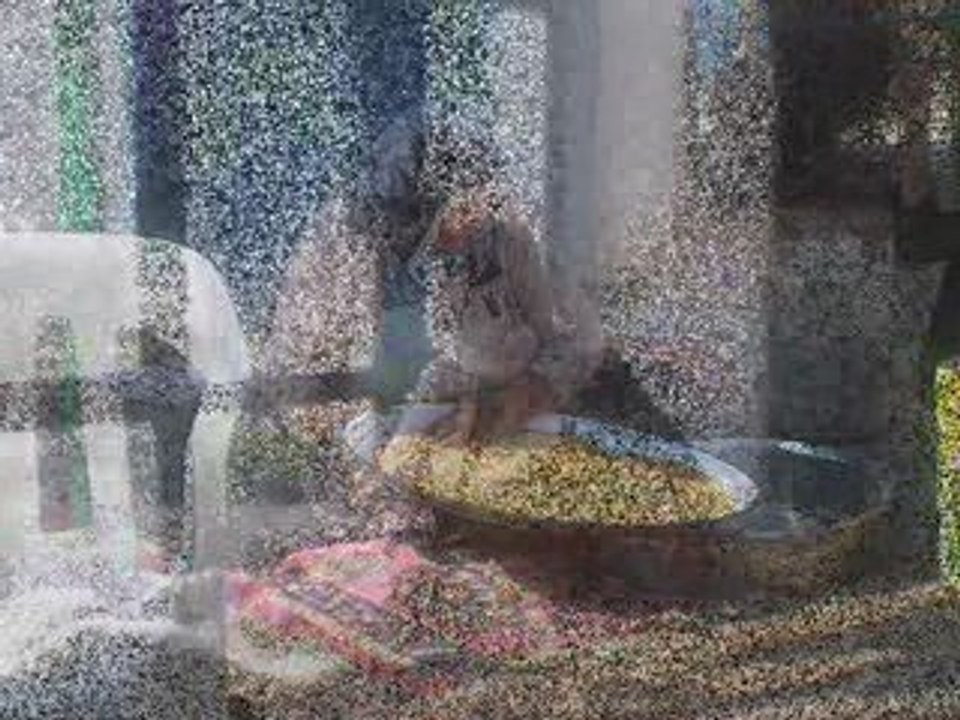 hogır- le le daye