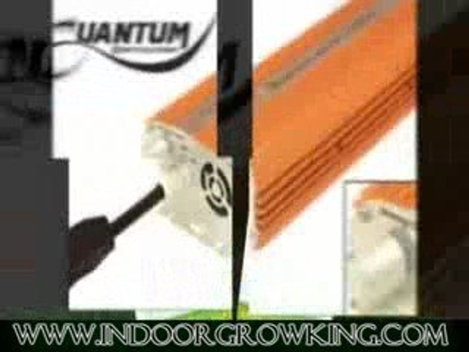 Affordable Grow Light Bulbs at wwww.IndoorGrowKing.com!