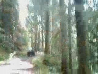 ballade jeep route forestiere