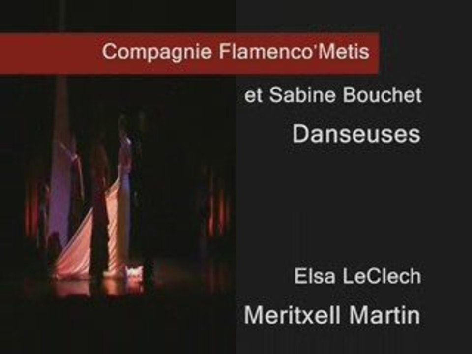 Spectacle danse flamenco et contemporain