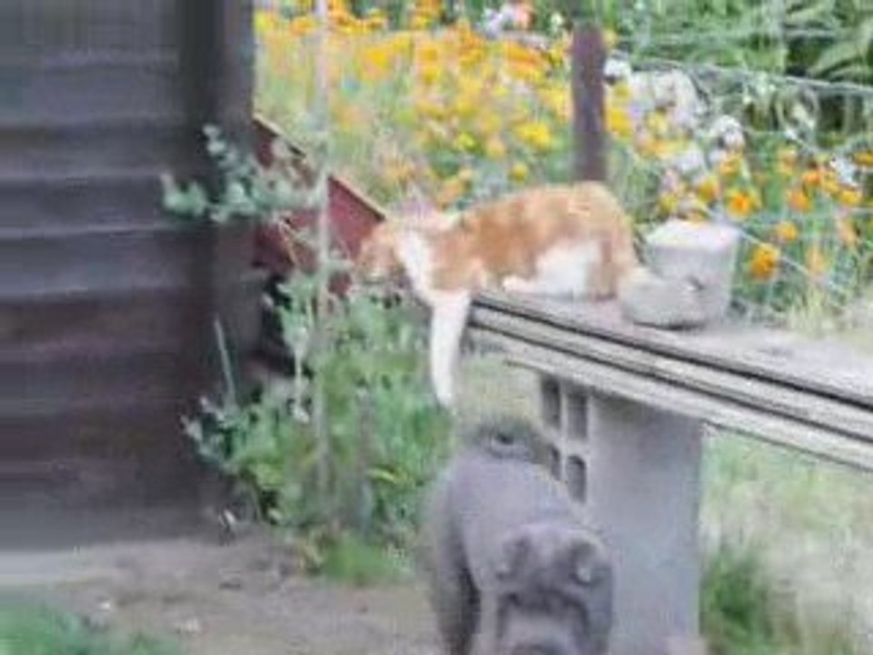 Mac et Bart