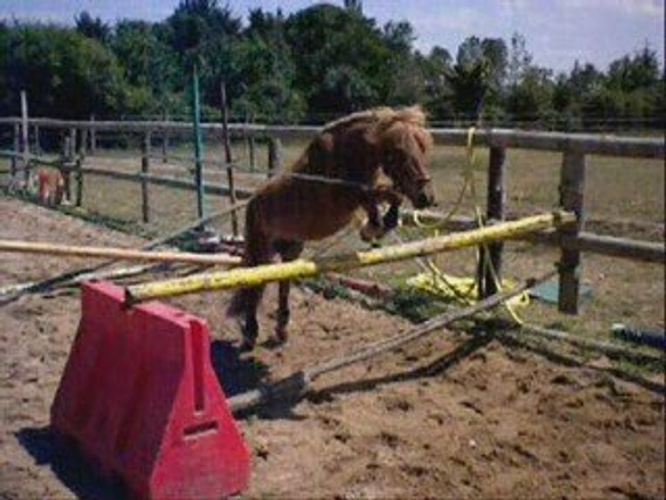 Hommage a mon petit Ange