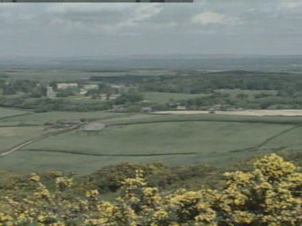 Snakes return to Devon