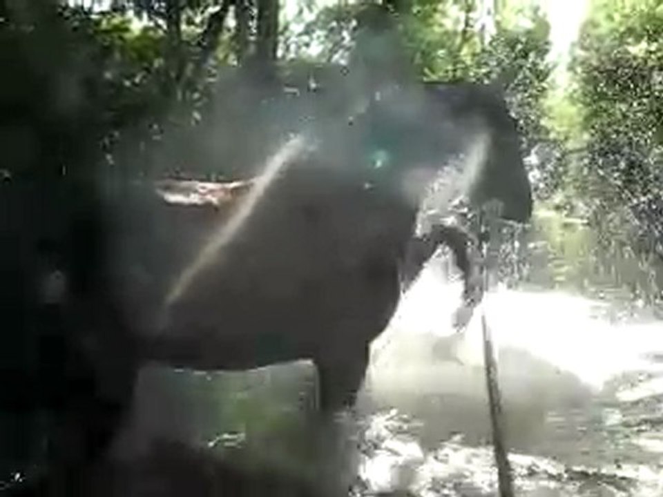 Tinto rivière 290709