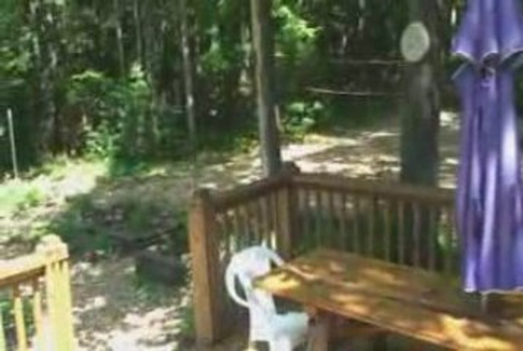 Home for Sale in Glen Arbor, Michigan