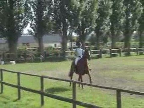 Yegua de 6 años por Le Tot de Semilly