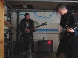 reise reise ( guitar cover )