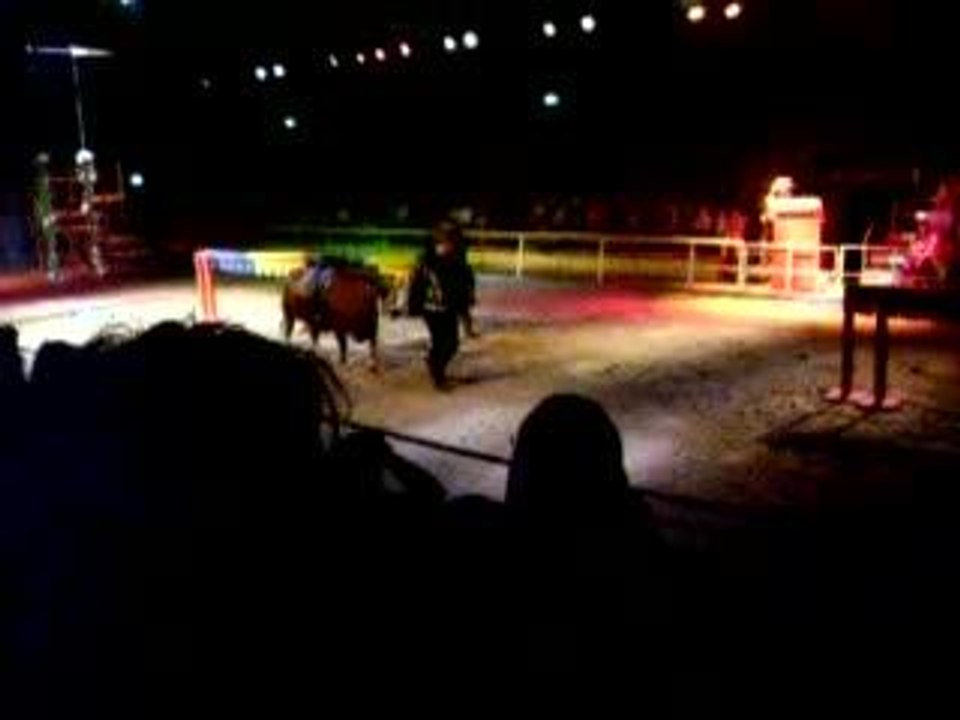 land van ooit 16-6-06 025