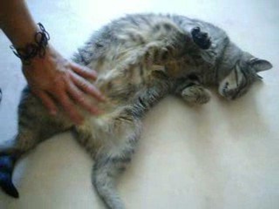 tendresse juillet 09