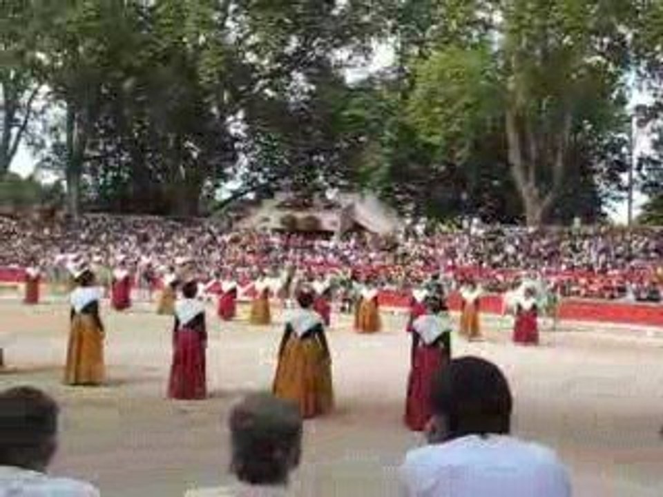 Palme  d'Or BEAUCAIRE 2009  ( Entrée des gardians)