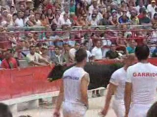 Palme d-Or BEAUCAIRE 2009  (Victoire de Sabri ALLOUANI...)