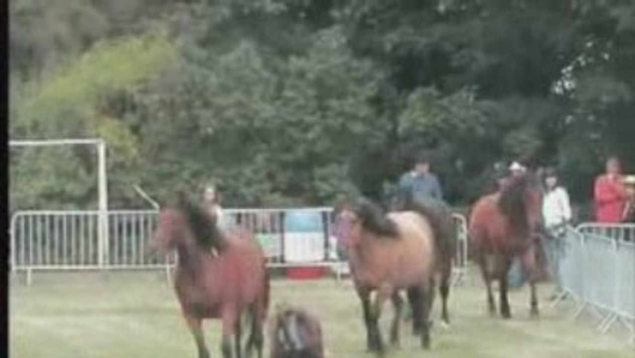 ECRIN D'OC BANDE ANNONCE 2008