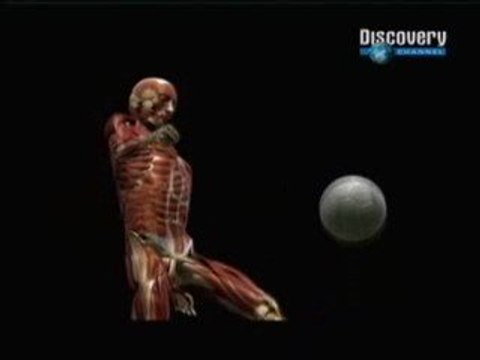 Fase REM y habilidades motoras