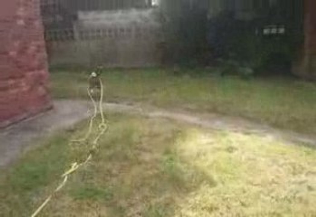 Bundy a chopé un Tenia