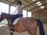 un cours d'équitation au centre équestre de briounas