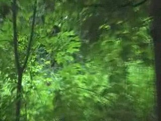 GIMA50 VS ATP VS LE COS A LA MEAUFFE