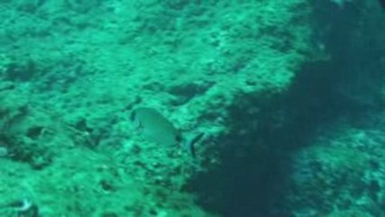 La pierre de Briançon